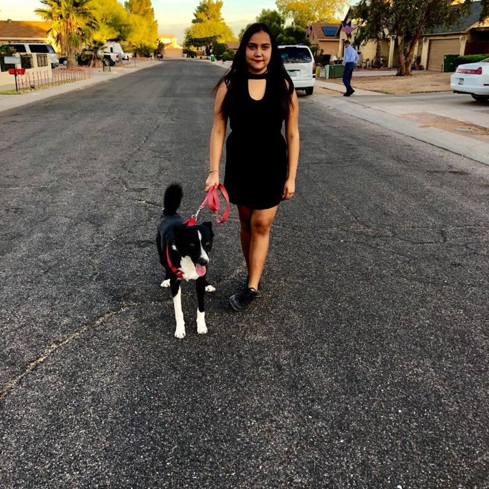 Meet your Posher, Ynes